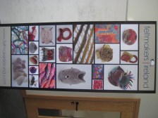Feltmakers Ireland Banner