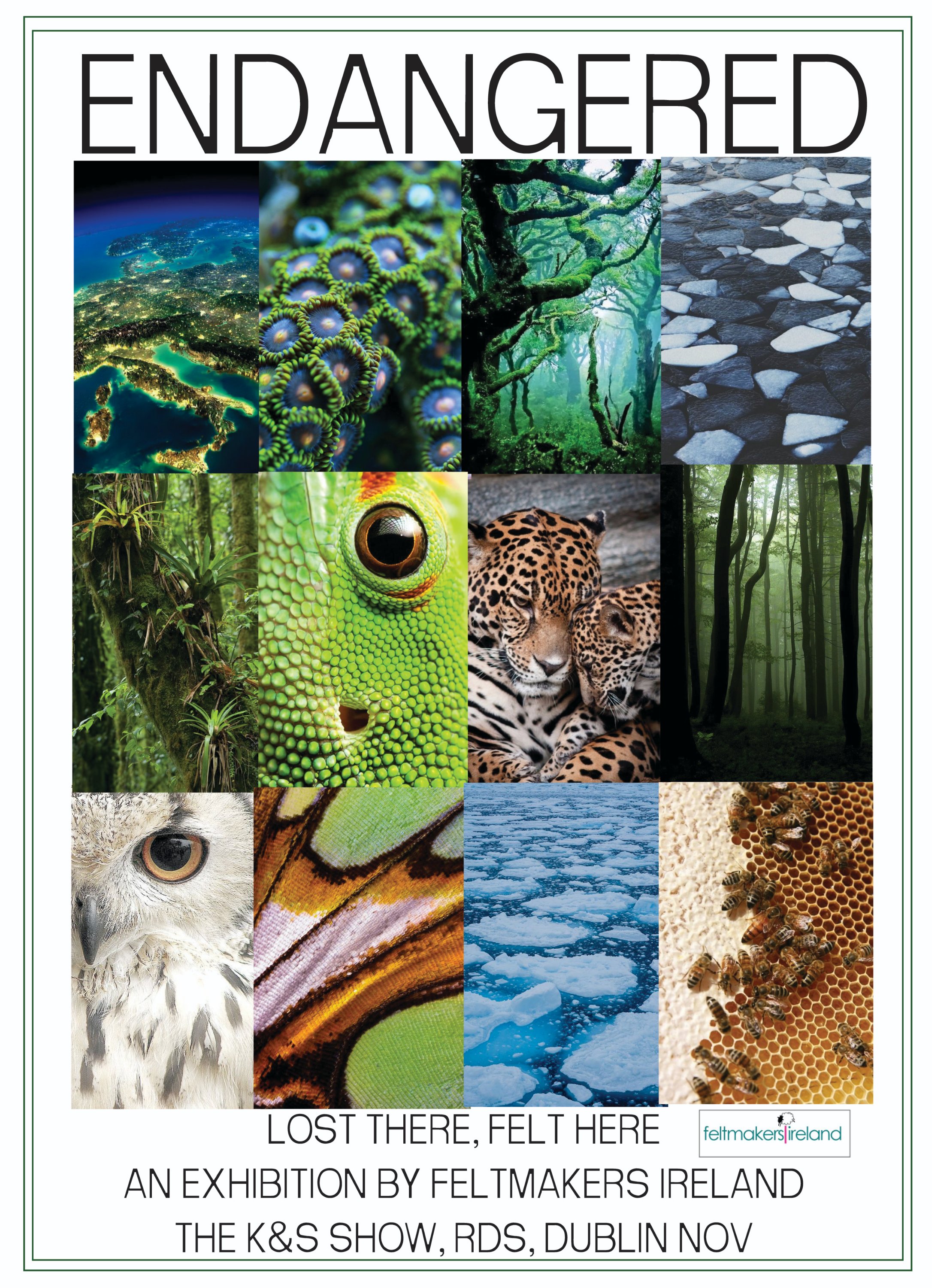 endangered poster 16706945512491622492..jpg