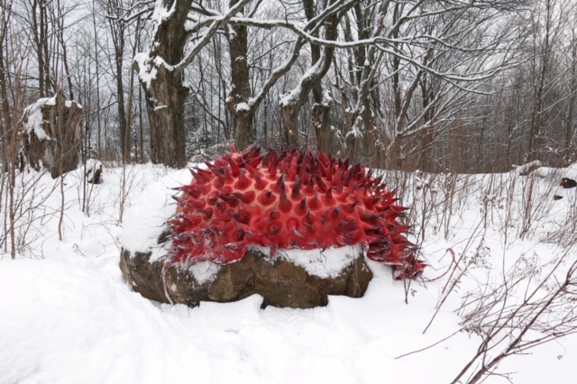 Mature tongue ,2017, Marjolein Darllinga