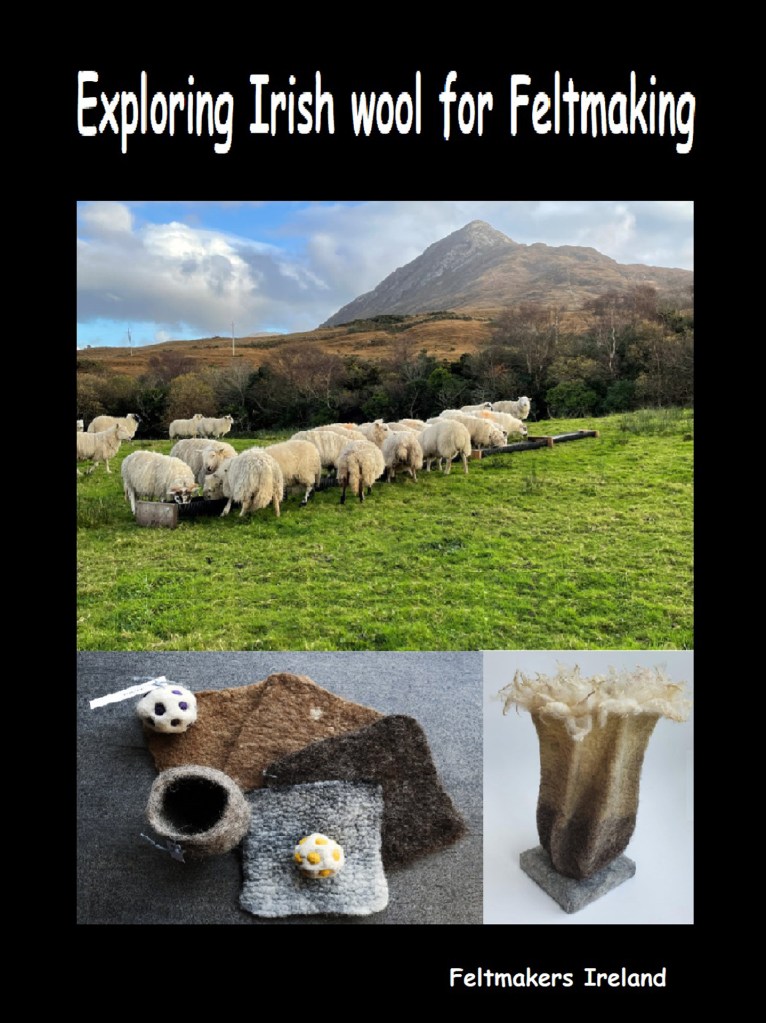 The front book cover of Exploring Irish Wool for Feltmaking.