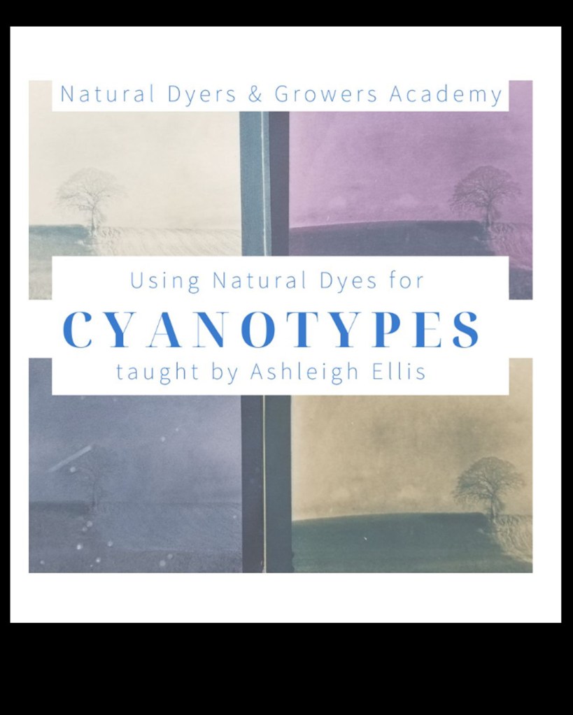 Poster of Natural Dyers & Growers Academy - the host of Ashleigh Ellis Natural Dyeing and Cynotype course.