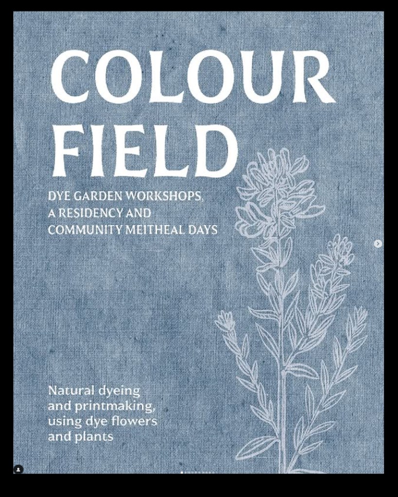 Colour Field - Dye Garden Workshops,, a Residency, and Community Meitheal Days