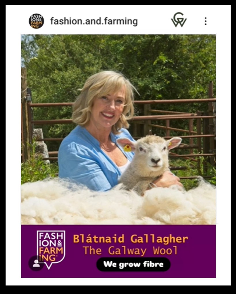 Fashion and Farming Conference in Kinsale