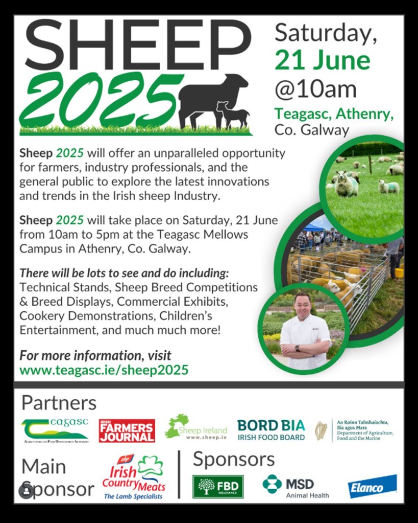 Poster for Sheep 2025 - Saturday, the 21st of June, at 10-5, in Athhenry, Co Galway