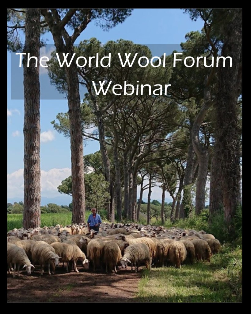 Shepard and sheep amongst forest at I Casali Del Pino, Rome, Italy - for the World Wool Forum Webinar